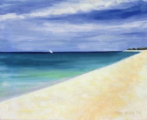 Indiske Ocean II, 1995